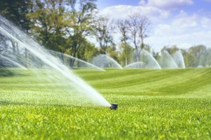 Dependable and Reliable Lawn Services in Laurel, MD
