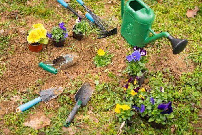 Professional Lawn Service in Laurel, MD 20708